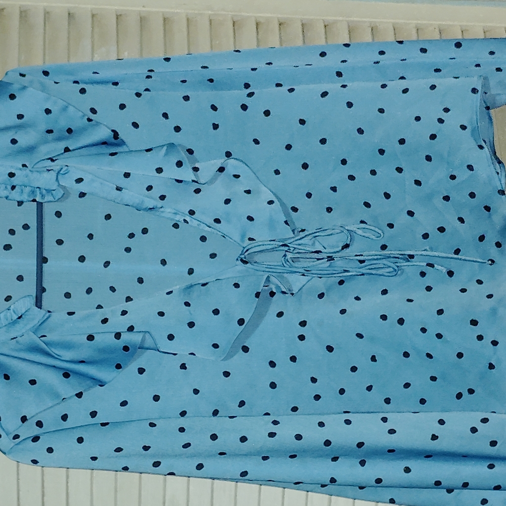 Zara Blue Polka Dot Blouse